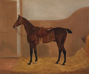 Portrait of a horse (Fireland or Cocktail, one of two paintings offered in one lot under these designations)